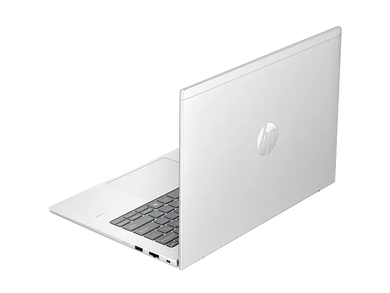 RumCake_14_NaturalSilver_WWAN_FPR_CoreSet_whiteBG_RearLeft_3959279.webp