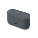 Philips True Wireless Earphones (TAT3509GY/97) Grey