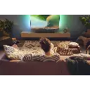 0421b575056b4558bdd3b14600624571.webp