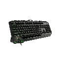 d3plus-1-green-min.webp