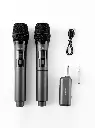 Philips Wireless Double Microphones (DLM3401TP/00)