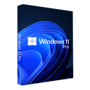 Microsoft Windows PRO (Version 11)